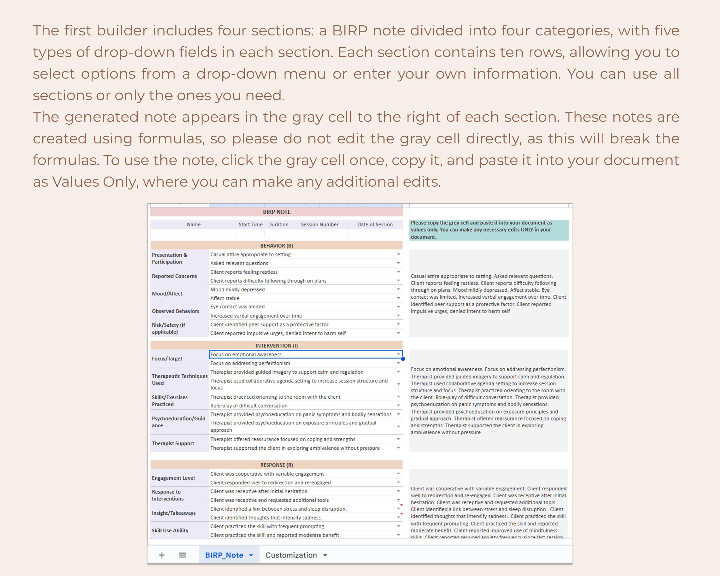 BIRP Progress Note Generator Psychotherapy Counseling Notes Treatment ...