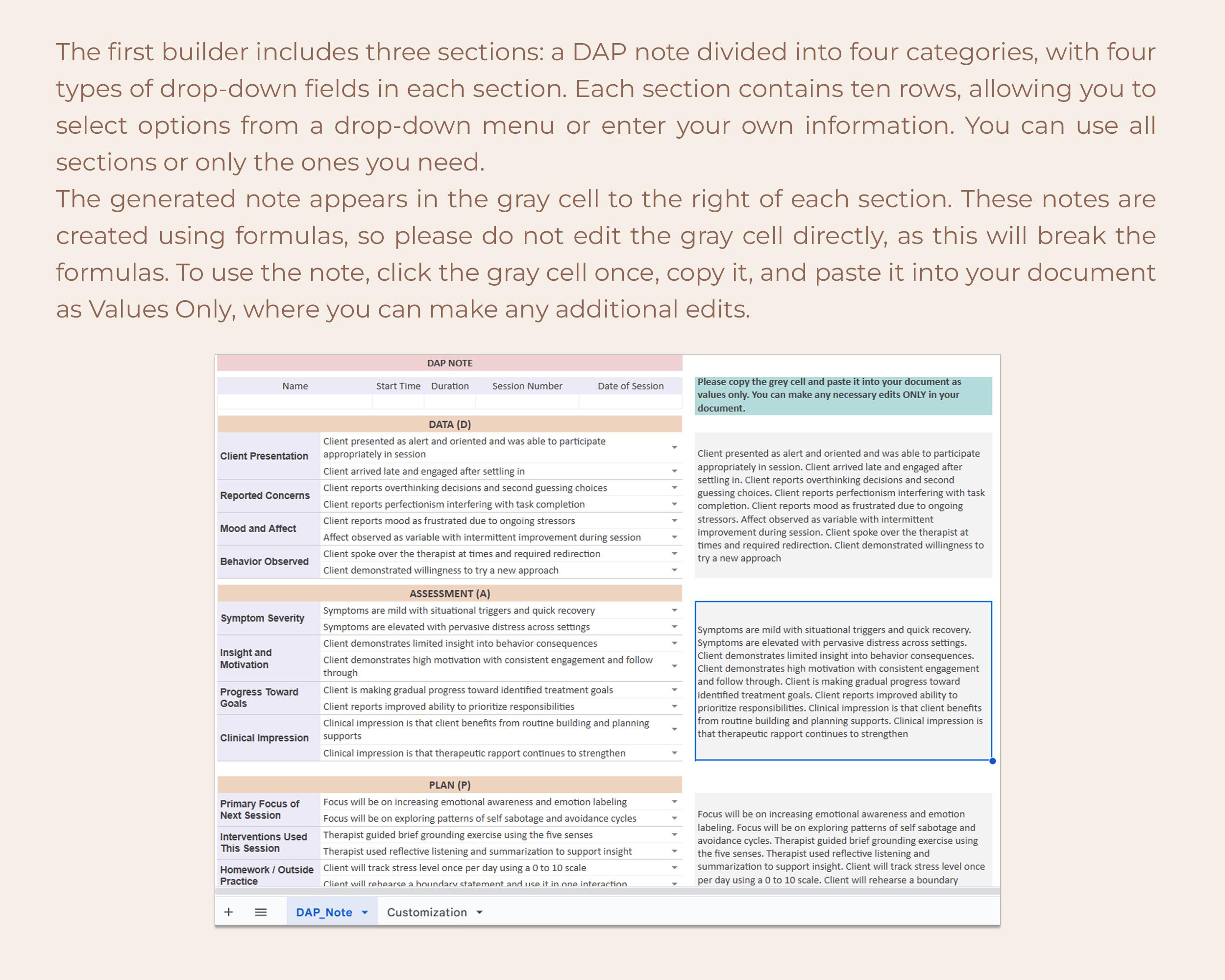 DAP Notes Generator Professional Progress Notes Template Insurance ...