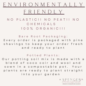 Op de afbeelding: Een witte achtergrond met zwarte tekst die "Environmentally Friendly" en "No Plastic!! No Peat!! No Chemicals 100% Organic!!!" luidt. De tekst gaat verder met "Bare Root Packaging: Every order is packaged with pine shavings to keep your order fresh and ready to plant" en "Potted Plants: Our potting soil mix is made with a blend of coco coir and wool and sown in a compostable pot. Your plants are ready to plant straight into your garden."  De tekst eindigt met "Spencer Homestead Organic Edibles and Blooms."