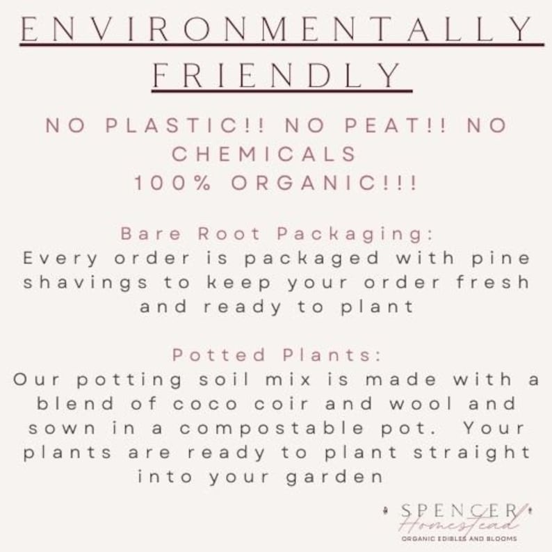 Op de afbeelding: Een witte achtergrond met zwarte tekst die "Environmentally Friendly" en "No Plastic!! No Peat!! No Chemicals 100% Organic!!!" luidt. De tekst gaat verder met "Bare Root Packaging: Every order is packaged with pine shavings to keep your order fresh and ready to plant" en "Potted Plants: Our potting soil mix is made with a blend of coco coir and wool and sown in a compostable pot. Your plants are ready to plant straight into your garden."  De tekst eindigt met "Spencer Homestead Organic Edibles and Blooms."