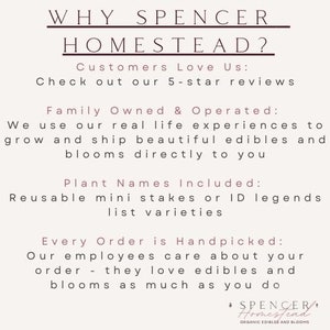 Op de afbeelding: Een witte tekstafbeelding op een lichtgrijze achtergrond met de tekst "WHY SPENCER HOMESTEAD?"  "Customers Love Us: Check out our 5-star reviews"  "Family Owned & Operated: We use our real life experiences to grow and ship beautiful edibles and blooms directly to you"  "Plant Names Included: Reusable mini stakes or ID legends list varieties"  "Every Order is Handpicked: Our employees care about your order - they love edibles and blooms as much as you do"  "&bull; SPENCER HOMESTEAD ORGANIC EDIBLES AND BLOOMS"