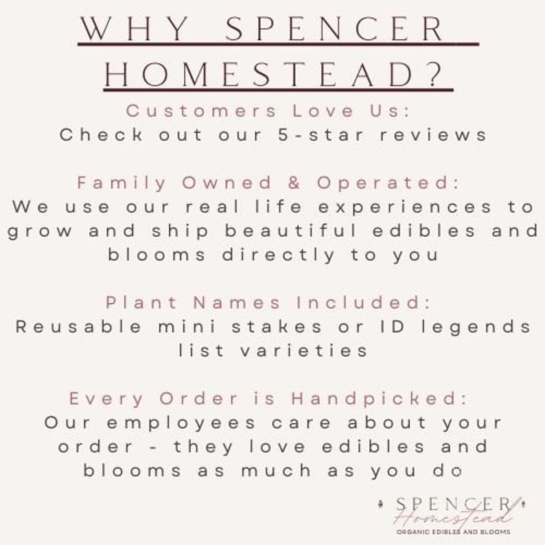 Op de afbeelding: Een witte tekstafbeelding op een lichtgrijze achtergrond met de tekst "WHY SPENCER HOMESTEAD?"  "Customers Love Us: Check out our 5-star reviews"  "Family Owned & Operated: We use our real life experiences to grow and ship beautiful edibles and blooms directly to you"  "Plant Names Included: Reusable mini stakes or ID legends list varieties"  "Every Order is Handpicked: Our employees care about your order - they love edibles and blooms as much as you do"  "&bull; SPENCER HOMESTEAD ORGANIC EDIBLES AND BLOOMS"