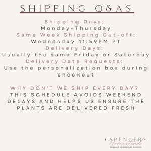 Op de afbeelding: Tekst op een witte achtergrond met de kop "SHIPPING Q&AS". De tekst legt de verzenddagen en leverdata voor planten uit. De tekst legt ook uit waarom de verkoper niet elke dag verzendt. De tekst bevat de zin "SPENCER Homestead" onderaan.