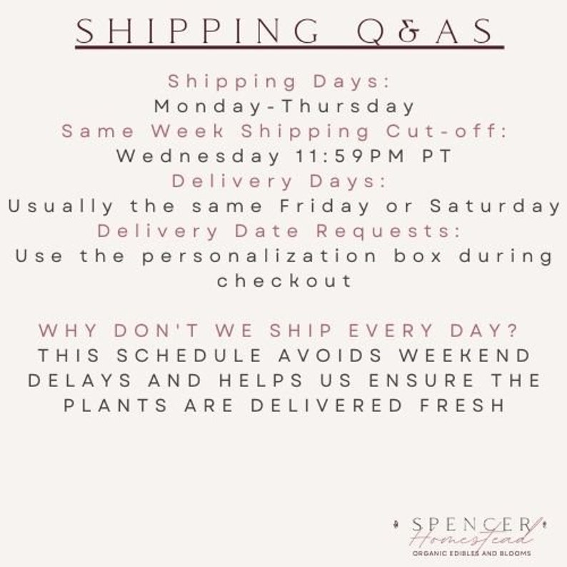 Op de afbeelding: Tekst op een witte achtergrond met de kop "SHIPPING Q&AS". De tekst legt de verzenddagen en leverdata voor planten uit. De tekst legt ook uit waarom de verkoper niet elke dag verzendt. De tekst bevat de zin "SPENCER Homestead" onderaan.