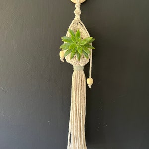May include: A macrame plant hanger with a wooden ring at the top and a small succulent plant inside. The hanger has a long tassel at the bottom with wooden beads.