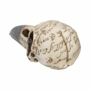 Edgars Raven Skull Figurine Edgar Allen Poe Ornament Edgars 21cm