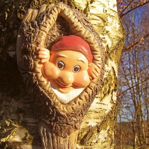 Könnte beinhalten: Eine fantasievolle Gartenzwergfigur, die aus einem Baumstamm lugt. Der Zwerg trägt einen roten Hut, einen weißen Bart und ein freundliches Gesicht.