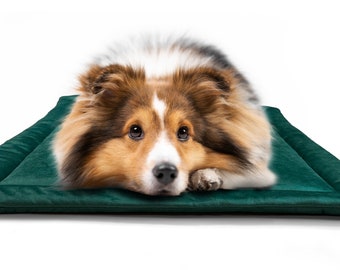 Tapis pour chien très épais, Vert foncé, Lit doux pour animaux de compagnie, Hydrophobe, Lit pour chat, Couverture chaude