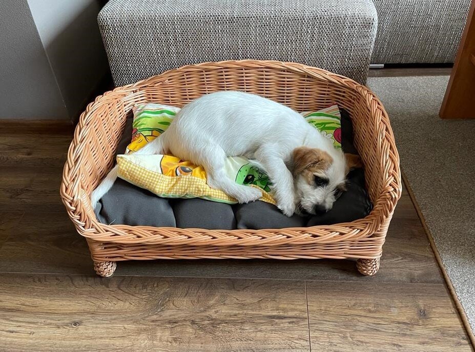 Wicker dog basket on legs cheap