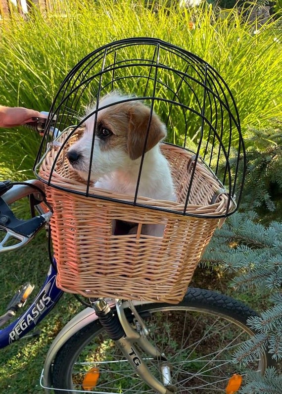 Wicker Bike Basket MEDIUM Carrier for a Dog or Cat Handmade Bike Basket for Animals in NATURAL Color Birthday Gift for Pet Lover TR 13 Etsy
