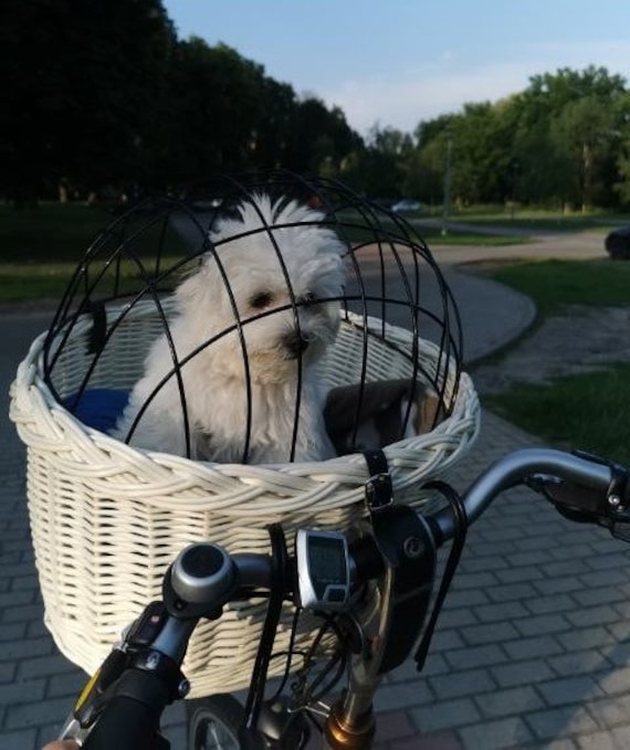 Fietsmand