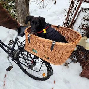Bike Basket for Pet Pet Basket for Bike Small Pet Wicker Basket Pet Bike Basket Basket for Bike Women Woman Bike Front Basket Etsy