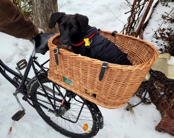 Op de afbeelding: Een zwarte hond met een zwarte jas en een geel botvormig label zit in een rieten mand die aan een fiets is bevestigd. De fiets staat geparkeerd op een besneeuwd pad.