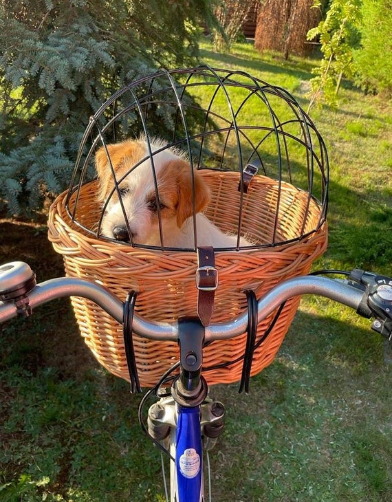 MEDIUM Carrier for a Dog or Cat, Wicker Bike Basket, Handmade Bike