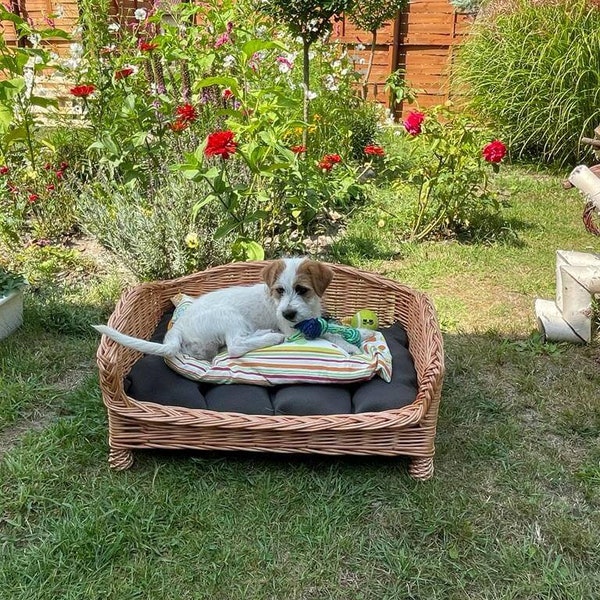 Weidenhaustierbett, Haustiercouch, Haustiermöbel, Geschenk für Hund, Handgefertigte Katzenliege, ökologisches Hundebett in natürlicher Farbe mit einem Kissen LW 02