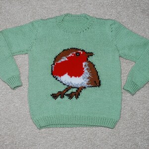 May include: A green knitted sweater with a robin embroidered on the front.