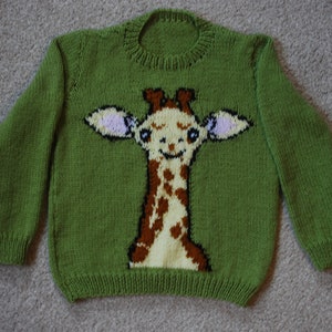May include: Green knitted sweater with a brown and yellow giraffe design on the front.