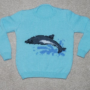 May include: A light blue knitted sweater with a dolphin design in shades of gray and white. The dolphin is jumping out of the water, which is represented by blue and white splashes.