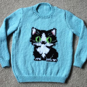 May include: A light blue knitted jumper with a black and white cat design and green eyes. The jumper has a crew neck and long sleeves. The cat graphic is centered on the front.