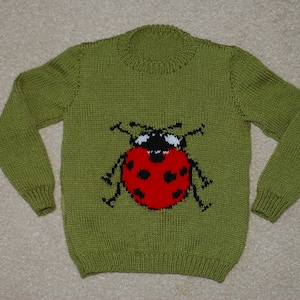 May include: A green knitted sweater with a red ladybug design on the front.