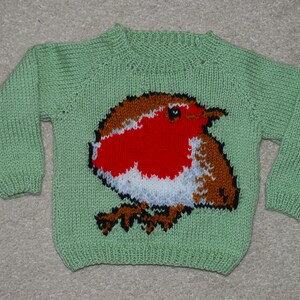 May include: A light green knitted sweater featuring a detailed image of a robin bird on the front. The bird has a red breast, brown wings, and white and black accents. The sweater has long sleeves and a round neckline.