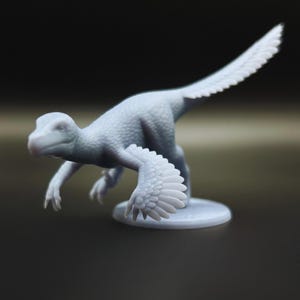 Velociraptor