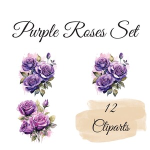 Romantic Purple Roses: 13 Cliparts for Special Occasions and Art Projects - Flowers PNG , Digital Planner , Card Design