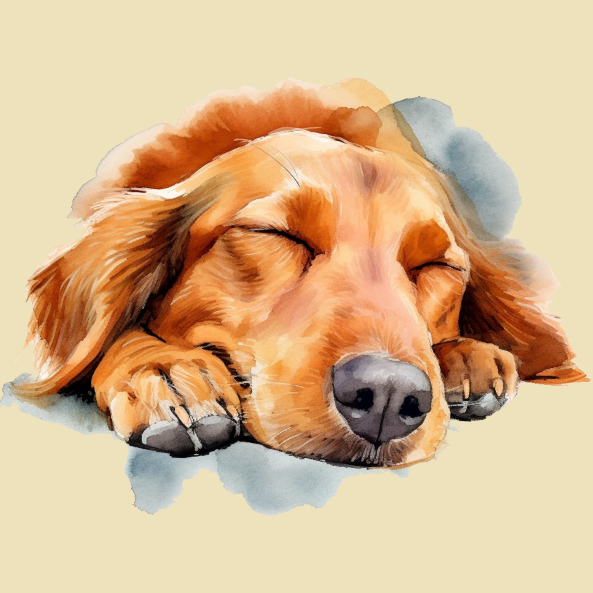 16 Watercolor Sleeping Dog Clipart Digital PNG Sleeping Dog, Sleeping ...
