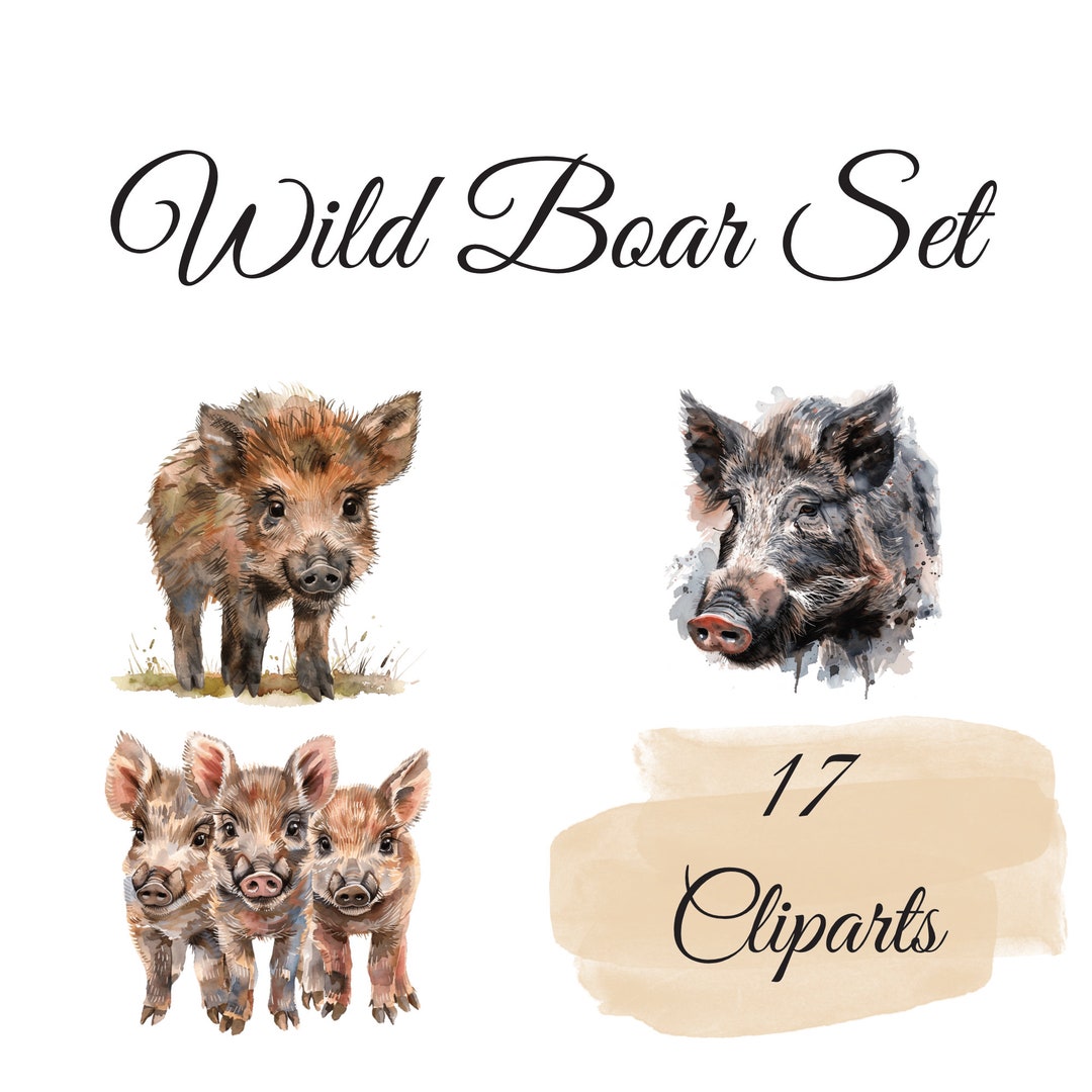 17 Robust Wild Boar Watercolor Cliparts Ideal for Woodland Themes and ...
