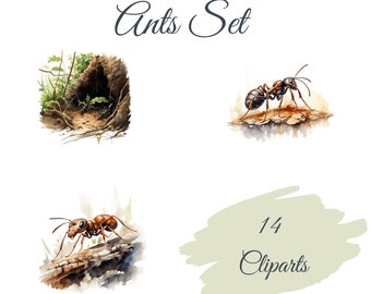 Ants Clipart Set: 14 High Quality PNGs, Watercolor Insects Clip Art - Card Making, Digital Paper Crafts, Digital Download