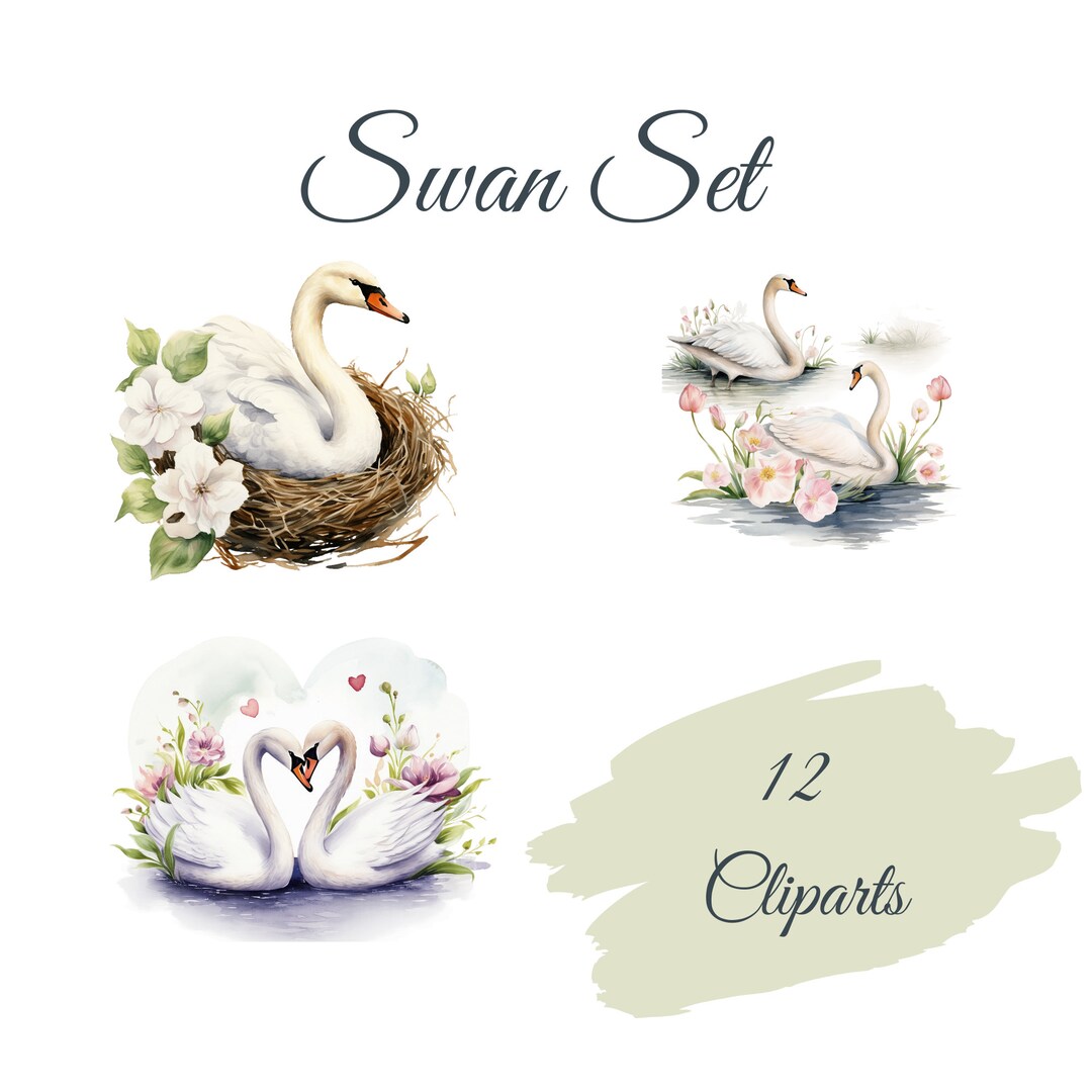 Swan Clipart Set: 12 High Quality Pngs, Watercolor Swans Clip Art Card ...