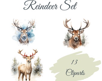 Rentier Clipart Set: 13 High Quality PNGs, Weihnachten Clip Art - Kartengestaltung, digitales Papierhandwerk, Digitaler Download