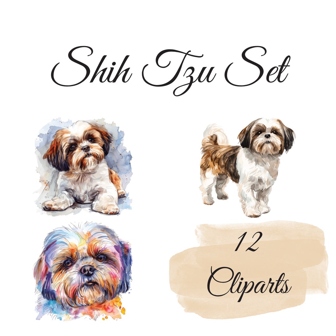 Enchanting Shih Tzu 2 Watercolor Clipart Set : 12 Watercolor Cliparts ...