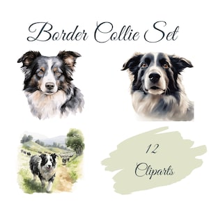 Set di clipart Border Collie: 12 PNG di alta qualità, clip art di Border Collie: creazione di cartoline, creazioni con carta digitale