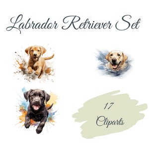 Labrador Retriever Clipart Set: 17 High Quality PNGs, Hunde Clip Art - Kartengestaltung, digitales Papierhandwerk, Digitaler Download