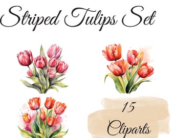 Éveil du printemps : 15 tulipes rayées clipart pour des designs animés - Joyeux et élégant, Fleurs PNG, Spring Clipart