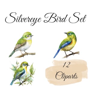 12 zauberhafte Silvereye Vogel Aquarell-Cliparts – Ideal für Vogelbeobachter und Naturprojekte -  Wandkunst, Digitaler Download
