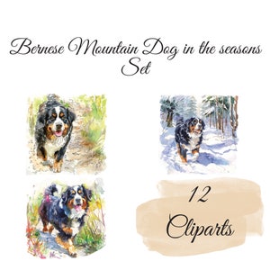 12 Berner Sennenhund Aquarell-Cliparts durch die Jahreszeiten – Perfekt für Tierliebhaber, Kartengestaltung, Wandkunst, Digitaler Download