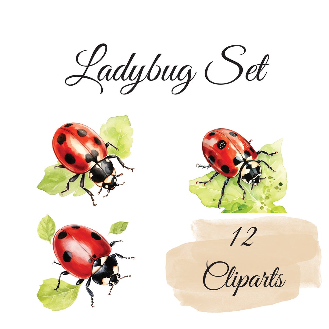 Ladybug Clipart Set: 12 High Quality Pngs, Watercolor Insect Clip Art ...