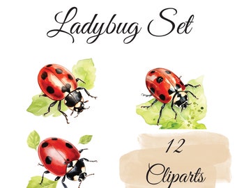 Ladybug Clipart Set: 12 High Quality PNGs, Watercolor Insect Clip Art - Card Making, Digital Paper Crafts, Digital Download