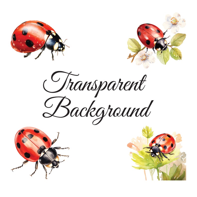 Ladybug Clipart Set: 12 High Quality Pngs, Watercolor Insect Clip Art ...