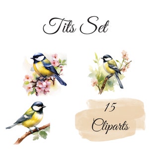 Ensemble d'images clipart de mésanges : 15 PNG de haute qualité, images clipart d'oiseaux à l'aquarelle - Fabrication de cartes, créations en papier numérique, téléchargement numérique