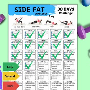 May include: A 30-day side fat challenge workout plan with three difficulty levels: easy, normal, and hard. The plan includes three exercises: one hand touch, side plank, and bicycle. Each day has a check box to mark off the completed exercises.