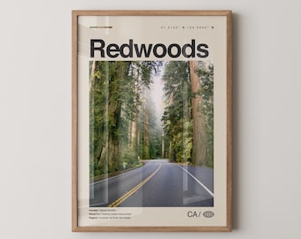 Redwoods Print California, Redwoods Wall Art, Redwoods Poster, Redwoods Photo, Redwood National Park, Avenue of the Giants, Muir Woods