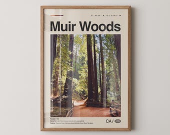 Muir Woods Print California, Muir Woods Wall Art, Muir Woods Poster, Muir Woods Photo, Muir Woods National Monument, Cathedral Grove