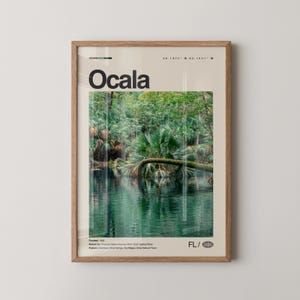 Ocala Print Florida, Ocala Wall Art, Ocala Poster, Ocala Photo, Silver Springs State Park, Ocala National Forest, Horse Capital of the World