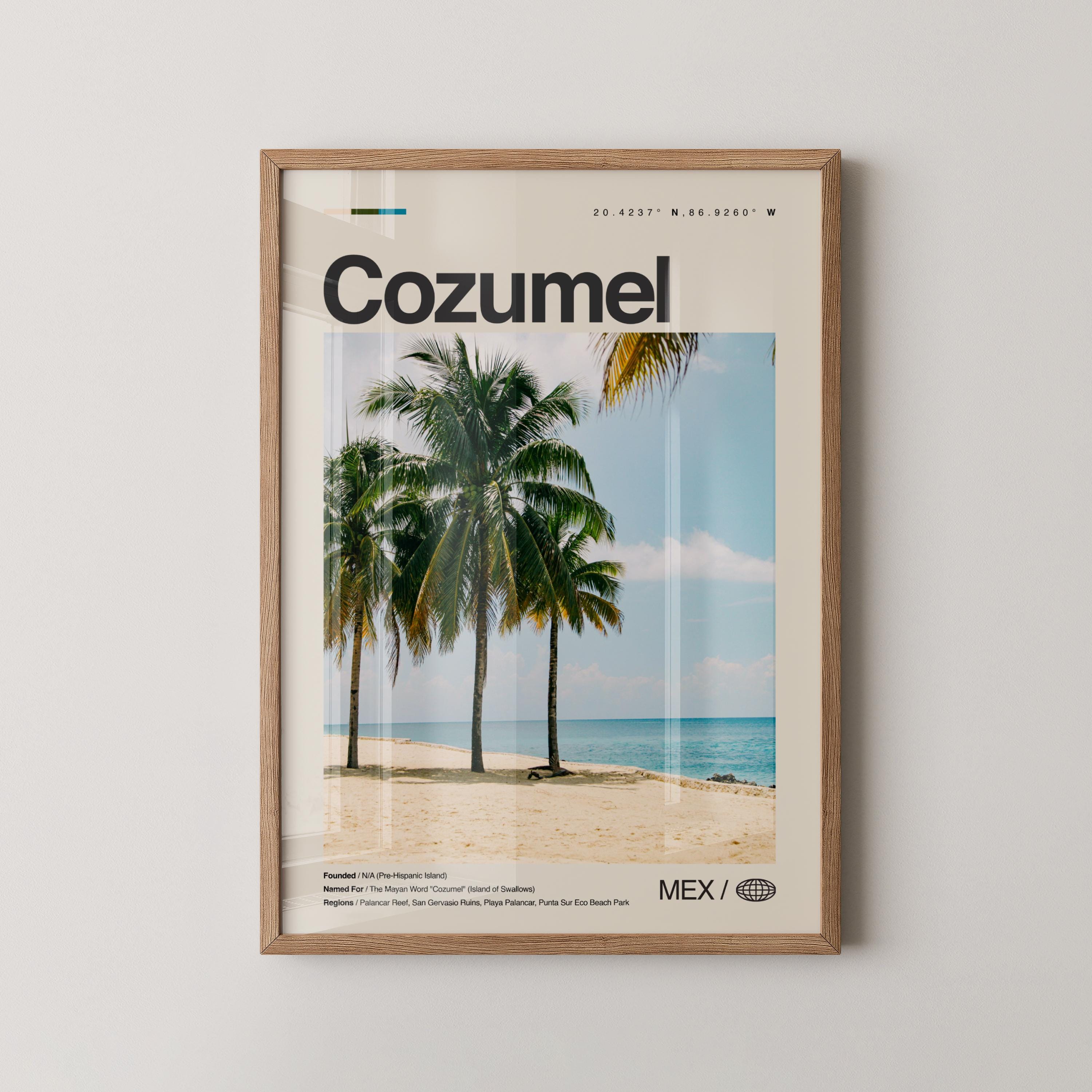 12 Best Things To Do in Cozumel, Mexico, image size:3000x3000