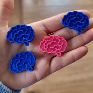 Könnte beinhalten: Vier Gehirn-förmige Plastikfiguren, zwei blaue und zwei rosa. Die Figuren sind in einer Hand angeordnet.
