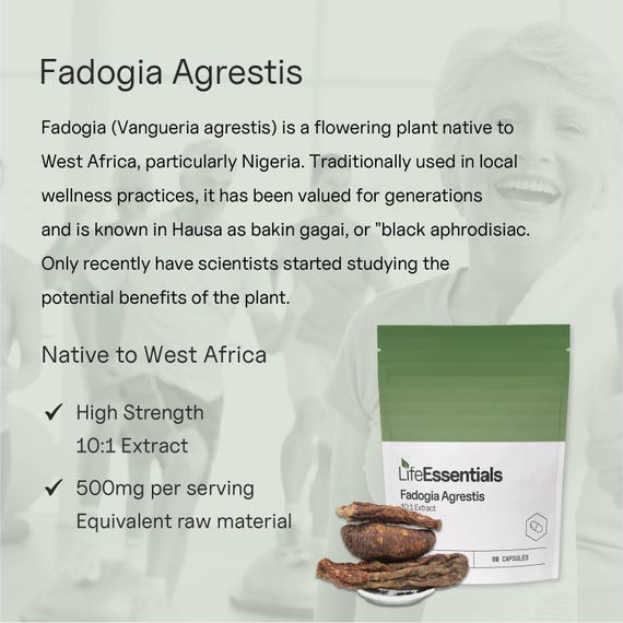 Fadogia Agrestis Capsules - 10:1 Extract - 5000mg Equivalent Dose - 500mg X  60 - Etsy