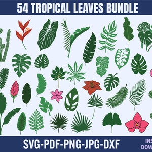 Tropical Leaves Svg, Botanical Svg Bundle, Leaf svg, Floral svg, Monstera svg, Plant svg, Leaves PNG, Leaves clipart